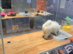 -狗道宠物(常熟印象城店)