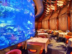 -迪拜帆船酒店海底餐厅