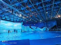-海合安青岛极地海洋公园