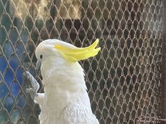 -杭州野生动物世界