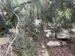 -草庵摩尼教遗址公园