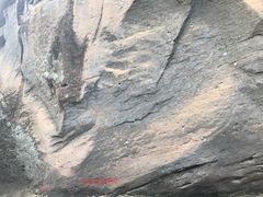 -九曲溪竹筏码头