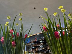 -拾久(朝阳公园店)
