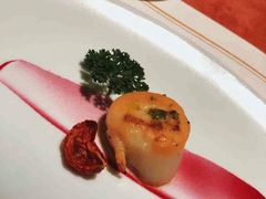 -觀芷隐轩