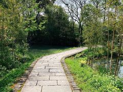 -西溪国家湿地公园