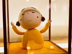 -素虎小呆鸟(西二旗店)