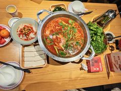-老凯俚酸汤鱼(多彩城店)