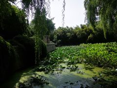 -郭守敬纪念馆