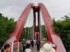 -玉树公园