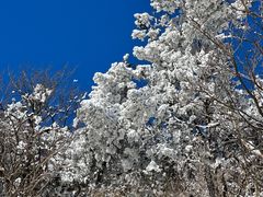 -香山公园