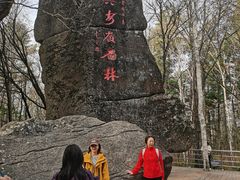 -汤旺河林海奇石景区
