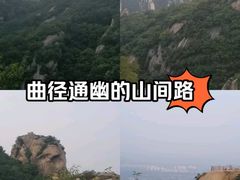 -沣峪口