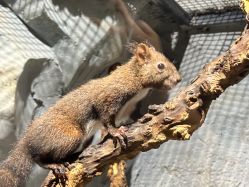 -Zoolung Zoolung动物主题公园(海信广场店)