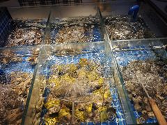 -湖州东吴开元名都酒店-滨河自助餐厅