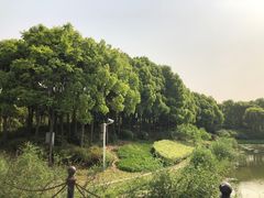 景点-美兰湖景区