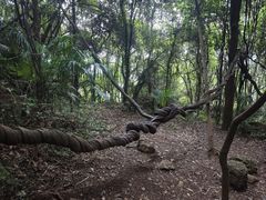 -窦圌山风景区
