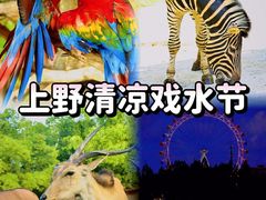 -上海野生动物园
