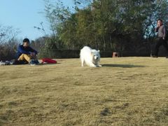 android_upload_pic-青龙山公园
