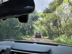 -海南热带野生动植物园