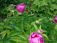 -合肥三国新城遗址公园