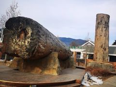 -国家植物园南园