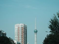 -洛阳市隋唐城遗址植物园