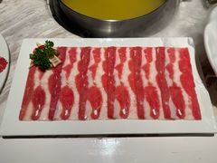 -汤城·料青山