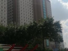 -中国医科大学附属盛京医院(南湖院区)