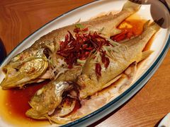 -波螺油子·海肠捞饭·青岛菜(银座店)