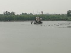 -大兴滨河森林公园