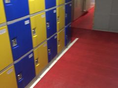 -重庆市奥林匹克体育中心-游泳跳水馆