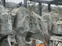 -武汉动物园