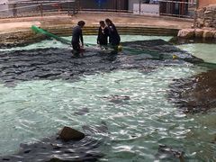 -新加坡水上探险乐园