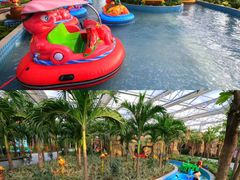 -南宫五洲植物乐园