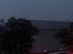 -杯欢制茶(三里屯店)