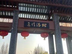 -三垟湿地