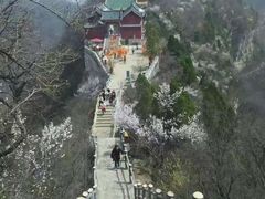 -云台山风景名胜区