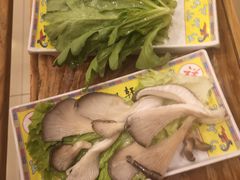 鲜平菇-芦月轩羊蝎子(北蜂窝店)