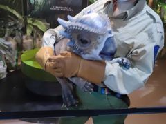 -侏罗纪世界电影特展(广州站)