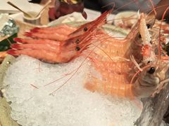 -匠和风精致料理(春熙路群光广场店)