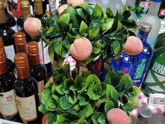 -G-Super 绿地优选(徐汇绿地缤纷城店)