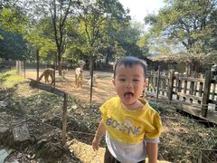 -南昌动物园