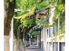-颐和路民国时期公馆风貌区
