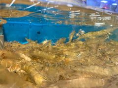 -神农美特好生鲜超市(康宁街店)