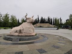 -永定河休闲森林公园