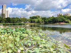 -映月湖公园