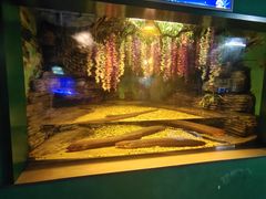 -常州海昌海洋探索馆