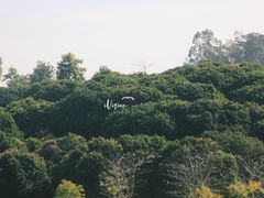 -东莞植物园