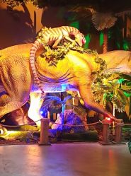 -恐龙探索乐园(磁器口店)