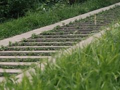 -青龙山国家森林公园